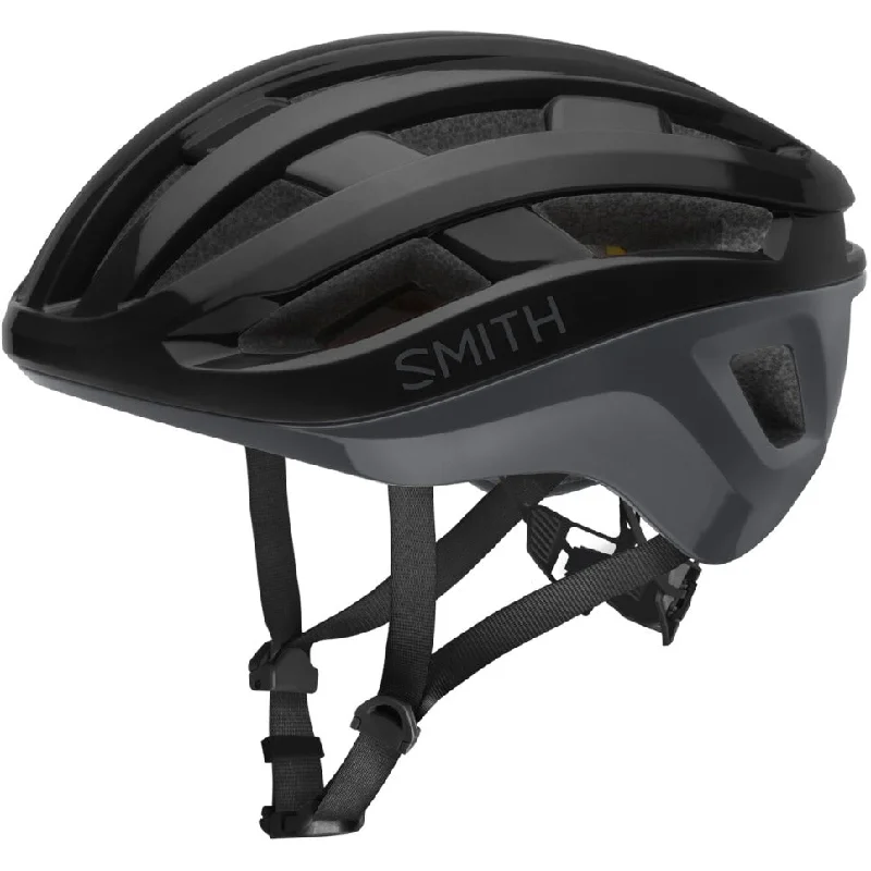 Helmet Smith Persist Mips